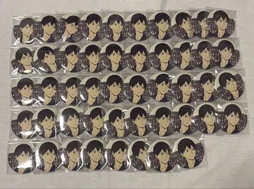 하이큐 여름 노진 카게야마 토비오 캔뱃지 배구 사계절 풍경 48개
