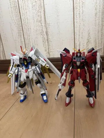 HG 건담 SEED FREEDOM 2체 세트 정크 조립 완료