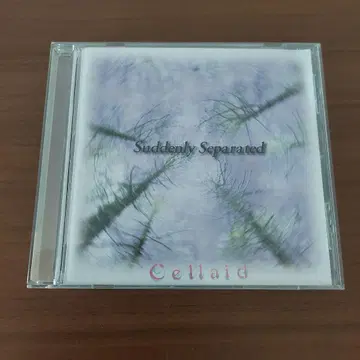 Cellaid Suddenly Separated 셀레이드