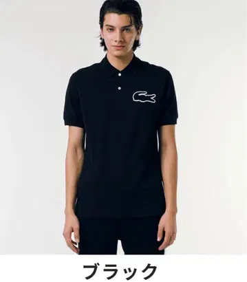 LACOSTE 블랙 피케 셔츠 S