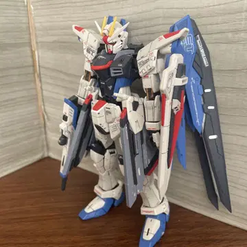 rg 프리덤 정크 완성품