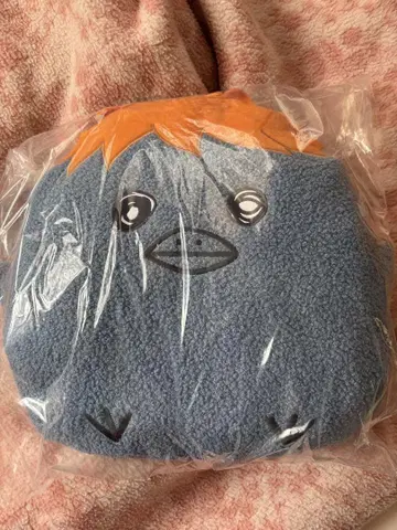 하이큐!! 제일복권 전국으로 향하는 길 C상 히나카라스 푹신푹신 쿠션