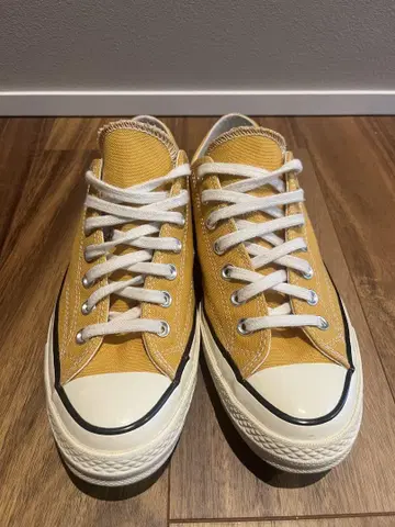 ct70 27 썬플라워