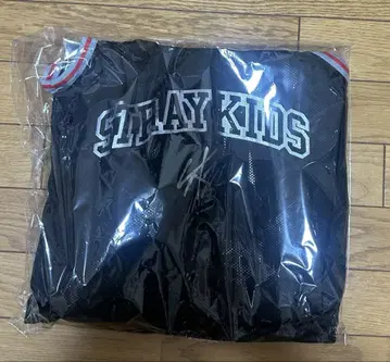 Stray Kids 업그레 에코파 굿즈 스키즈