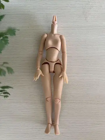 퓨어니모 2 이모션 바디 S