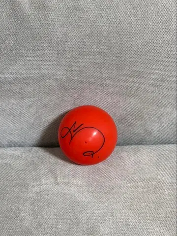 IVE 레이 사인볼