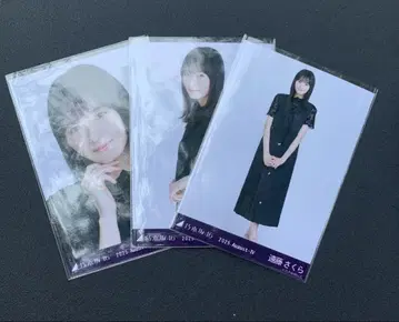 비대칭 엔도 사쿠라 컴프