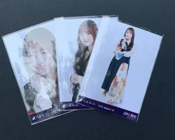 비대칭 타무라 마유 컴프