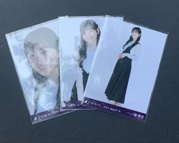 비대칭 이치노세 미쿠 컴프