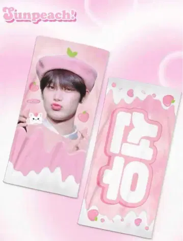 enhypen 선우 슬로건 피치 스티커