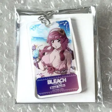 BLEACH Brave Souls 브레솔 미니냐