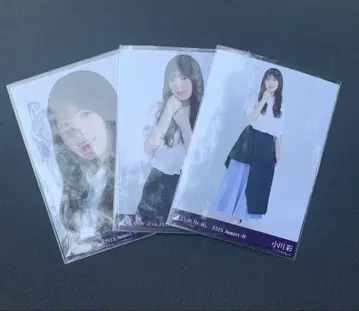 비대칭 오가와 아야 컴프