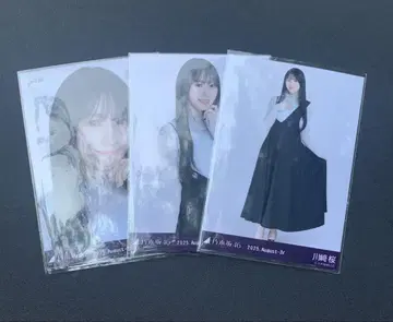 비대칭 카와사키 벚꽃 컴프