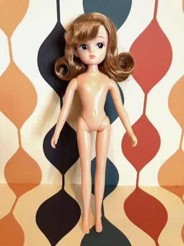 레트로 리카 본체만