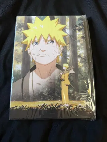 NARUTO 캐릭터 파인 보드 나루토 AnimeJapan 2019