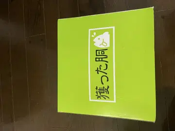 획득한 몸통 체스트 하이 웨이더 s 사이즈