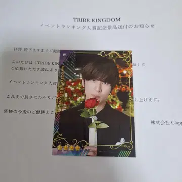 TRIBE KINGDOM 리얼 카드 하세가와 마코토
