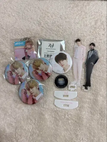 zerobaseone 규빈 스탠드 캔뱃지 키링 세트