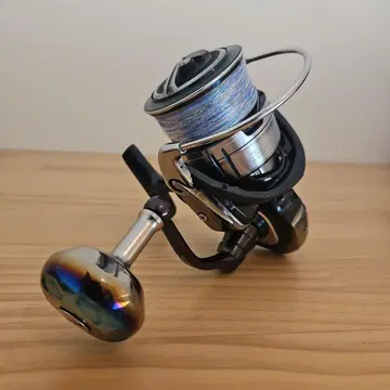 DAIWA 셀테이트 SW 6000H