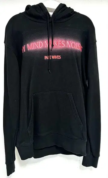 pale waves 후드티