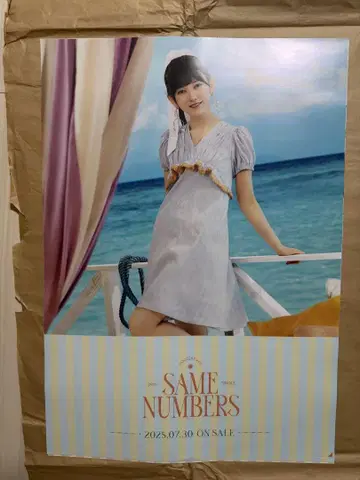 이케다 테레사 SAME NUMBERS 포스터