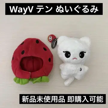 WayV 텐 maten 봉제 인형