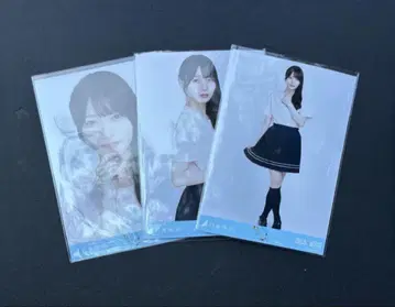 라이브 T셔츠 카가와 오카모토 히나 컴프