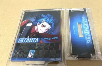 FGO 페스 세탄타