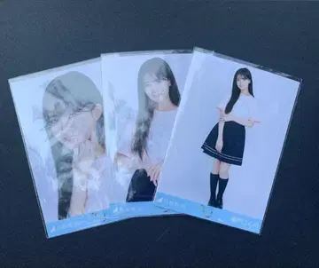라이브 티셔츠 카가와 세토구치 미즈키 컴프