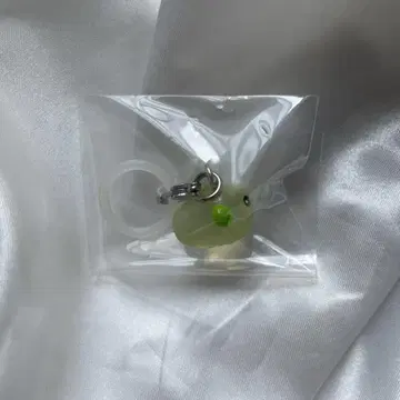 콩 시바 메지루시 액세서리 콩 시바 레어