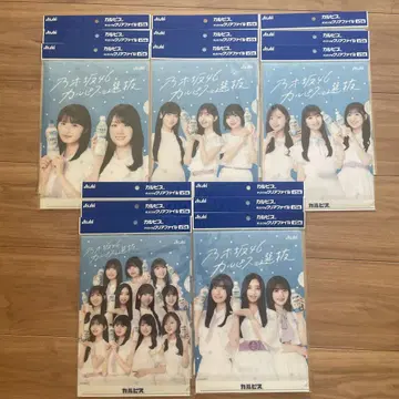 노기자카46 칼피스 클리어 파일 5매 세트 x 3