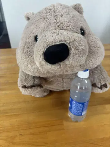 땅딸막한 웜피 웜뱃 봉제 인형