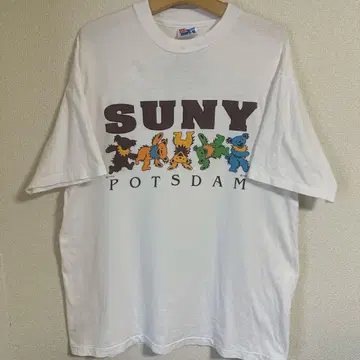 90년대 Grateful Dead 뉴욕 주립 대학 칼리지 티 USA 제작