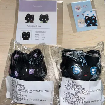 nct wish 리쿠 봉제 인형 마스터