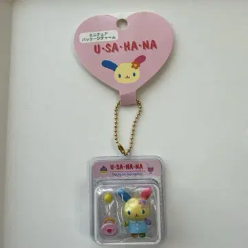 미니어처 패키지 참 우사하나 U-SA-HA-NA 산리오
