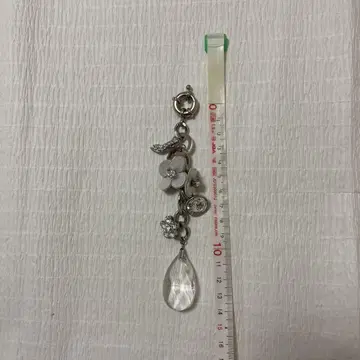 안티프리마 참