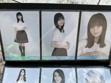 노기자카46 브로마이드 컴프 엔도 사쿠라