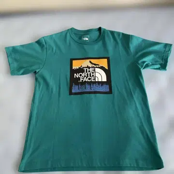 THE NORTH FACE 터콰이즈 티셔츠 L