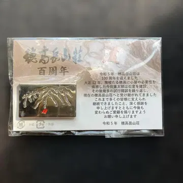 100주년 기념 핀 배지 실버