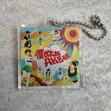 나의 태양 AKB48 투어 CD 구매 특전 아크릴 키링