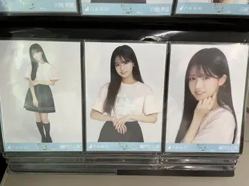 노기자카46 브로마이드 컴프 세토구치 미츠키