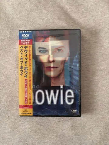 Best of Bowie 데이비드 보위 DVD