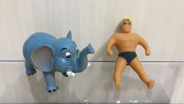 비로린맨 (stretch armstrong)과 코끼리