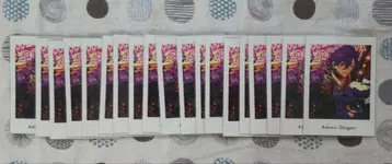앙스타 파샷츠 오토카리 아도니스 Vol.5