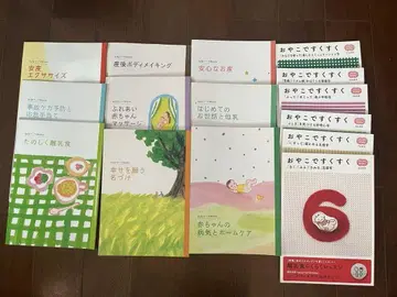 Benesse befa! 출산, 육아 가이드 30권, DVD 4장, 덤
