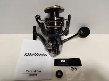 DAIWA CALDIA SW 10000-P 지깅 에빙 14000