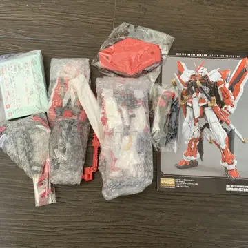MG 건담 아스트레이 레드 프레임