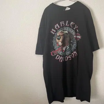 HARLEY-DAVIDSON 비버 그래픽 티셔츠