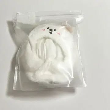 RIIZE riize 앤톤 응원봉 커버