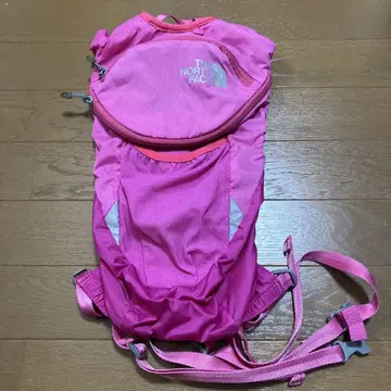 THE NORTH FACE 핑크 백팩